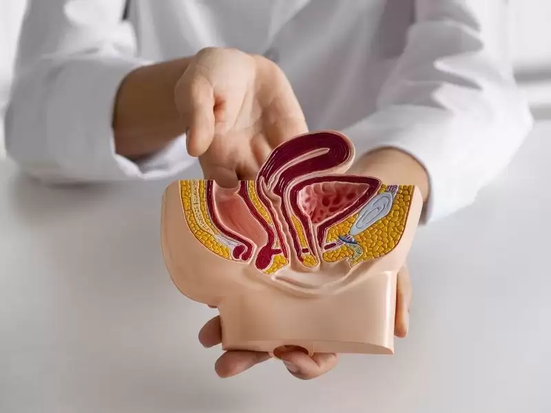 stapler-de-longo-ile-hemoroid-ameliyati